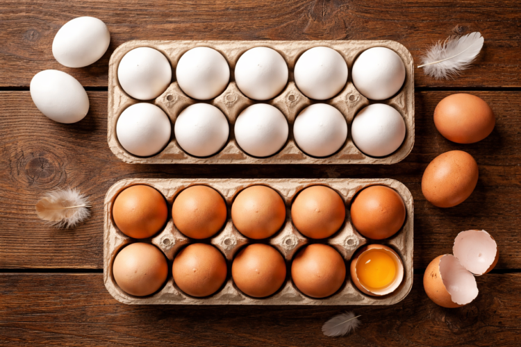I Learned It At 60 : Few People Know The Difference Between White Eggs And Brown Eggs